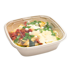 Plastic Lid PET for Bowl Clear 36x36cm (5 Units) 