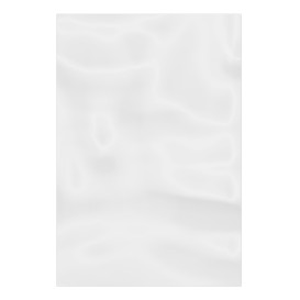 Plastic Bag G100 15x30cm (100 Units)  