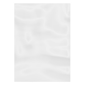 Plastic Bag G100 18x25cm (100 Units)  