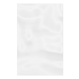 Plastic Bag G100 12x18cm (1000 Units)