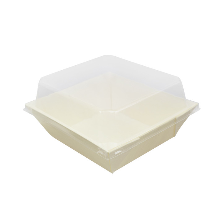 PET Plastic Lid for Container 480ml 14,3x12,3x3,3cm (12 Units)