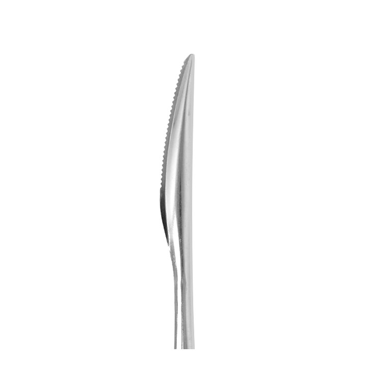 Stainless Steel Knife 17,5cm (288 Units)