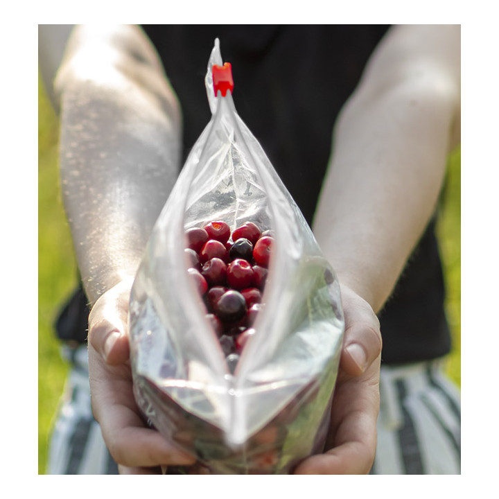 Plastic Bag Slider Zipper G250 20x15cm (50 Units) 