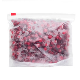 Plastic Bag Slider Zipper G250 18x17cm (100 Units)  