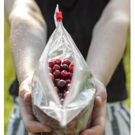 Plastic Bag Slider Zipper G250 18x17cm (100 Units)  
