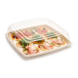 Plastic Lid PET Clear 36x36cm (5 Units) 