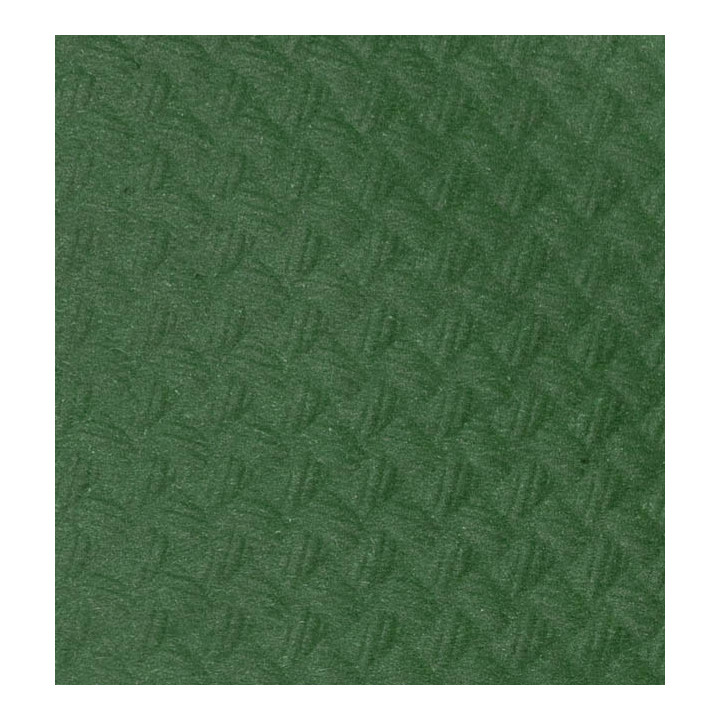 Placemat of Paper in Green 30x40cm 40g/m² (1.000 Units)