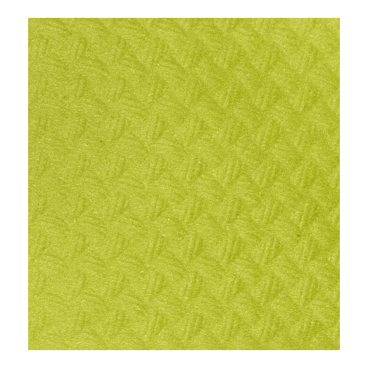 Placemat of Paper in Pistachio 30x40cm 40g/m² (500 Units)