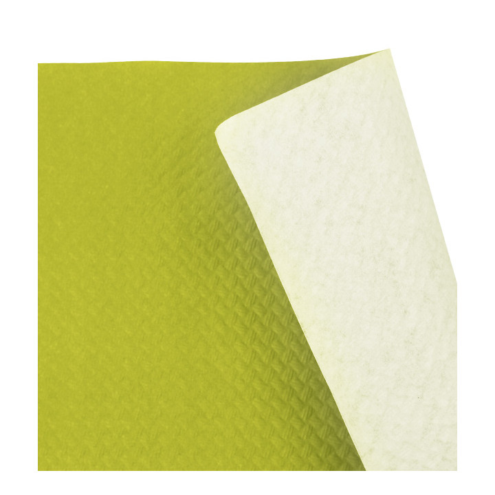 Placemat of Paper in Pistachio 30x40cm 40g/m² (500 Units)