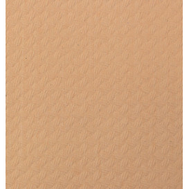 Placemat of Paper in Salmon 30x40cm 40g/m² (500 Units)