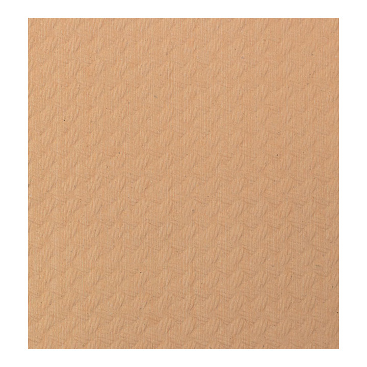 Placemat of Paper in Salmon 30x40cm 40g/m² (500 Units)