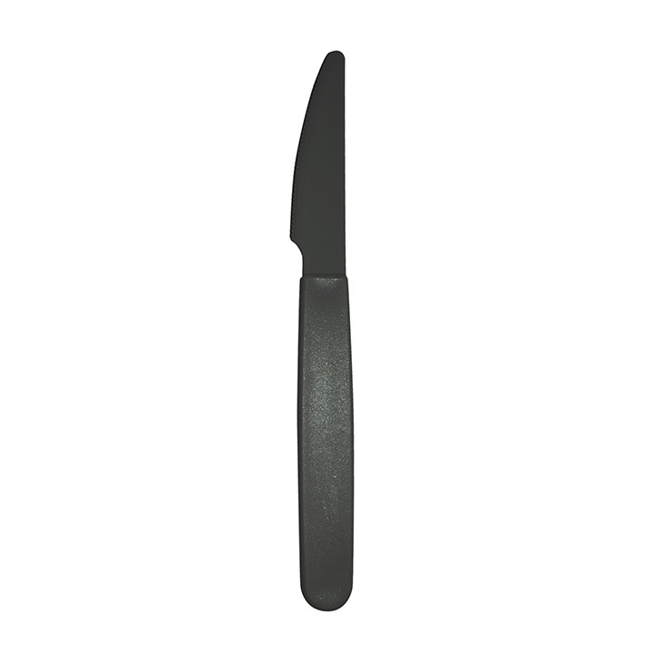 Durable Reusable Knife PP Anthracite 18,5cm (180 Units)