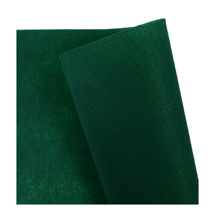 Novotex Placemat Green 50g 35x50cm (500 Units)  