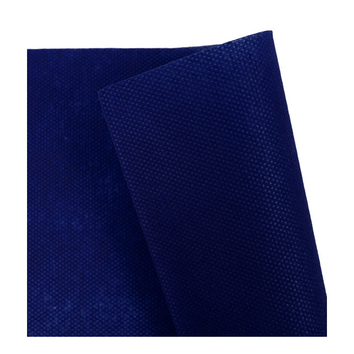 Novotex Placemat Blue 50g 35x50cm (500 Units)  