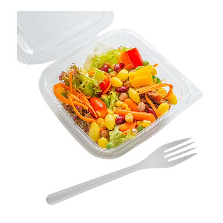 Plastic Hinged Deli Container OPS 750 ml (500 Units)