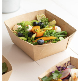 Rectangle Kraft Salad Bowl 500ml 15x12x6cm (400 Units)