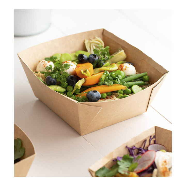 Rectangle Kraft Salad Bowl 500ml 15x12x6cm (400 Units)