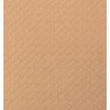 Paper Tablecloth Roll Salmon 1x100m 40g (1 Unit) 