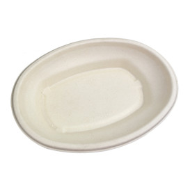 Sugarcane Tray 500ml 24x17x4cm (75 Units)