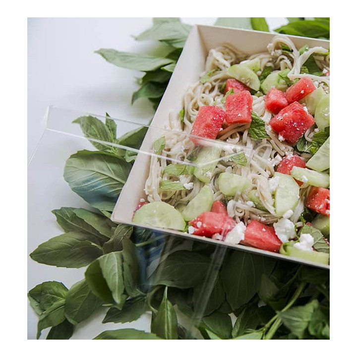 Plastic Lid PET Clear 13x6,5cm (100 Units)