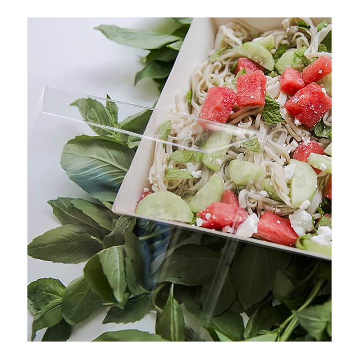 Plastic Lid PET 21,5x8,5cm (100 Units)