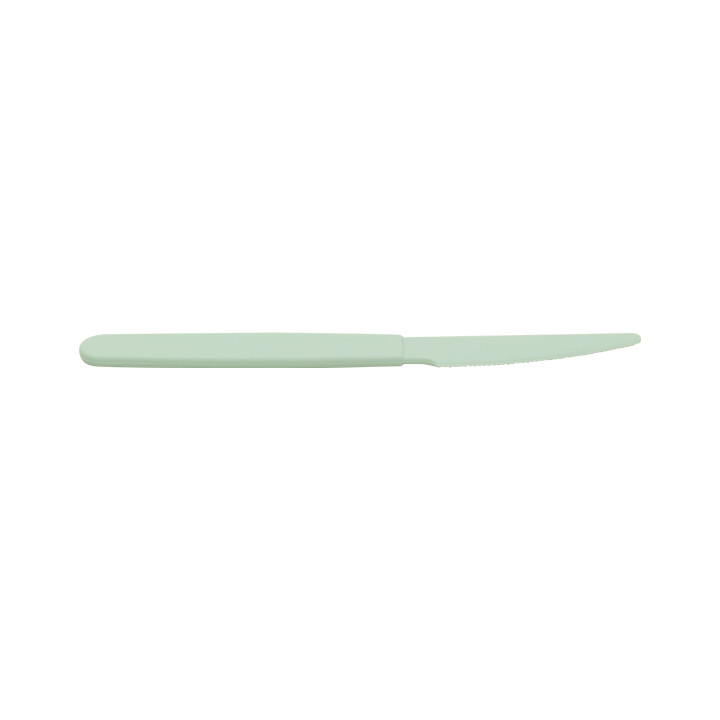 Reusable Durable Knife PP Mineral Green 18,5cm (180 Units)