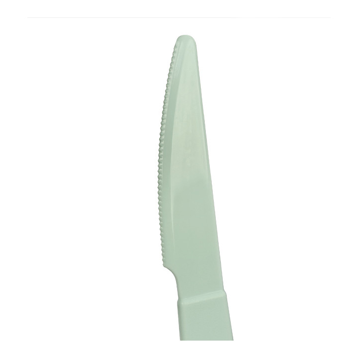 Reusable Durable Knife PP Mineral Green 18,5cm (6 Units)