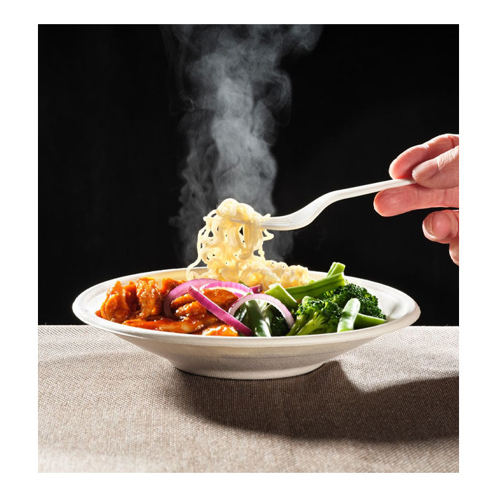 Sugarcane Bowl Bagasse Noodle White 710ml (50 Units) 