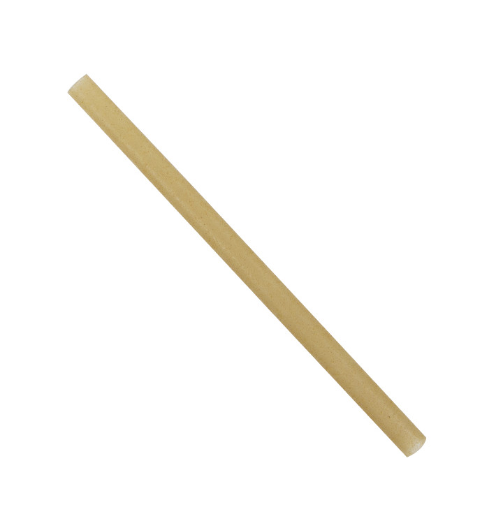 Sugarcane straws