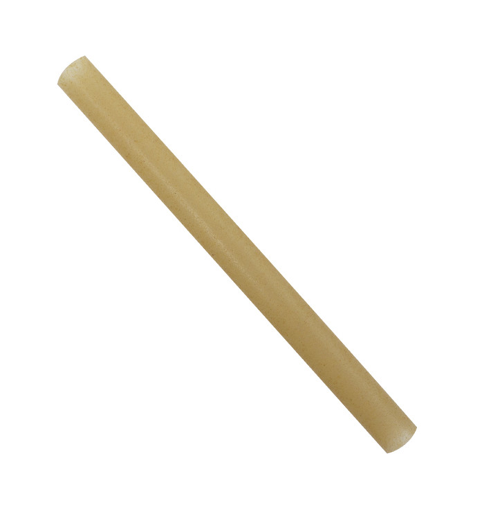 Sugarcane straws