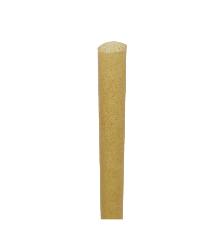 Sugarcane straws