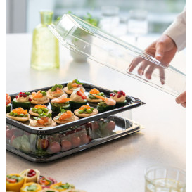 Plastic Tray with Lid Black 35x24cm (15 Uds)