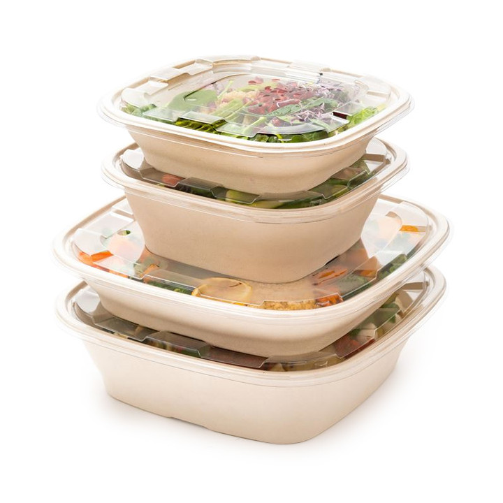 Sugarcane Bowl Natural Square Shape 2250ml 27cm (50 Units)