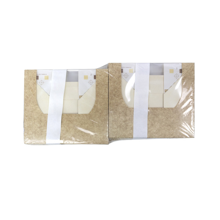 Rectangular Cardboard Box PackiPack Vision Kraft 17x9x6cm (X Units)