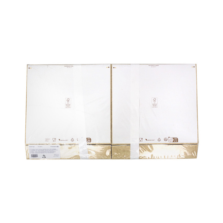 Square Cardboard Box PackiPack Vision Kraft 28x28x5cm (X Units)