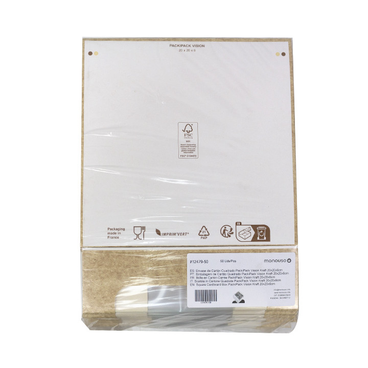 Square Cardboard Box PackiPack Vision Kraft 20x20x6cm (50 Units)