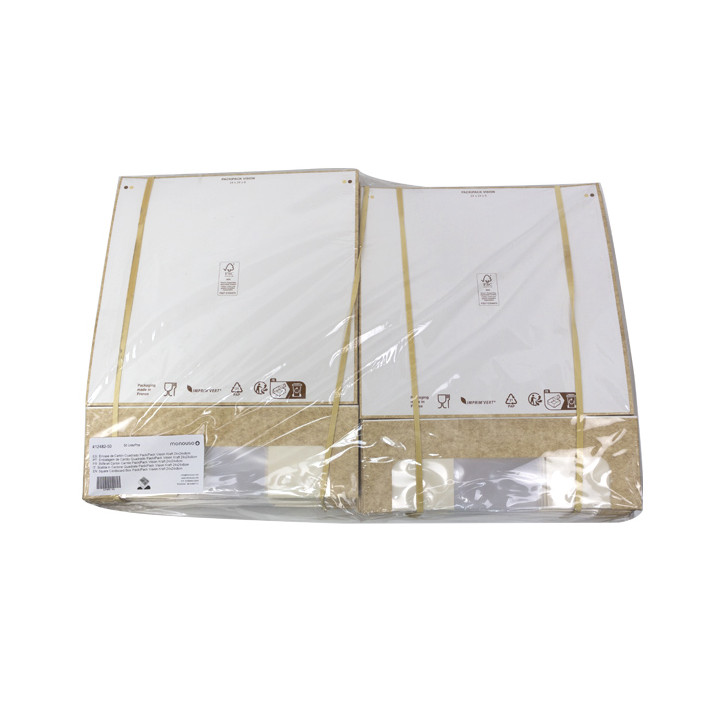 Square Cardboard Box PackiPack Vision Kraft 24x24x8cm (X Units)