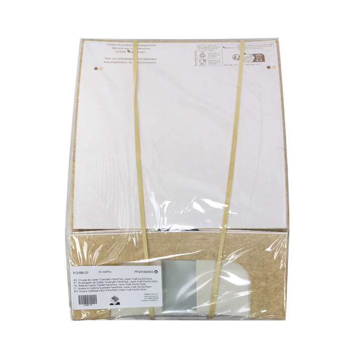 Square Cardboard Box PackiPack Vision Kraft 24x24x10cm (X Units)