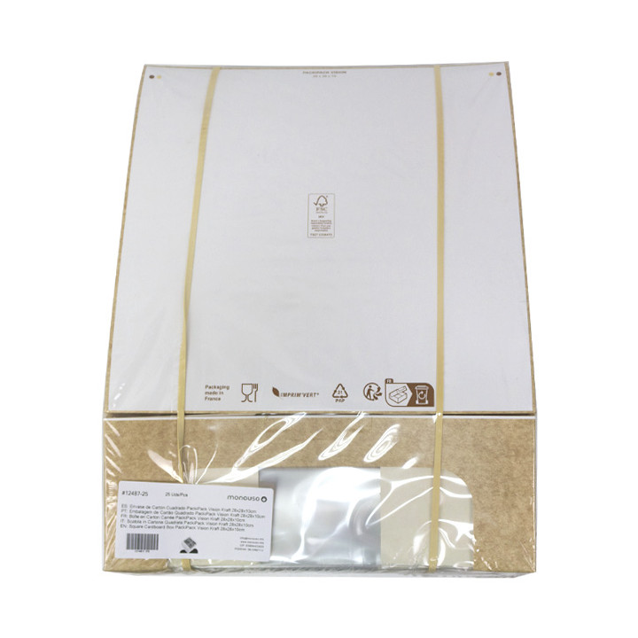 Square Cardboard Box PackiPack Vision Kraft 28x28x10cm (25 Units)