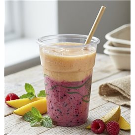 Compostable PLA Cup Clear 250ml Ø7,3cm (500 Units)