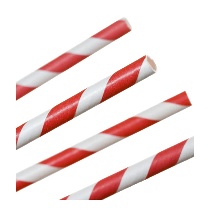 Paper Straw Straight Wrapped Ø0,6cm 20cm (250 Units)