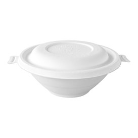 Paper Napkin Pistachio 25x25cm 2C (100 Units)