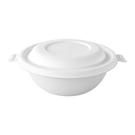 Paper Napkin Pistachio 25x25cm 2C (100 Units)