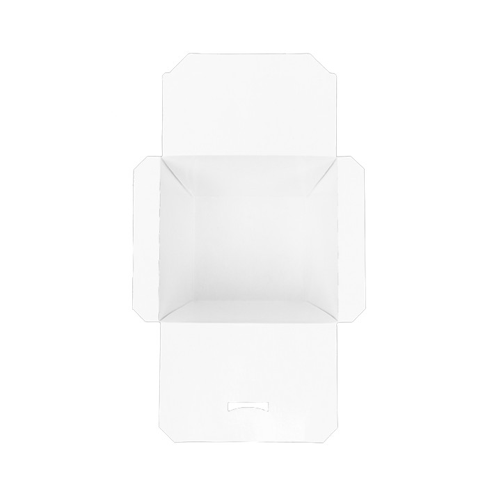 Paper Take-out Container Wok Kraft 950ml (125 Units)