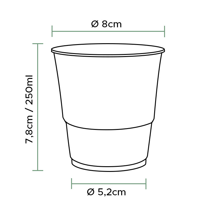Compostable PLA Cup Clear 250ml (1.250 Units)