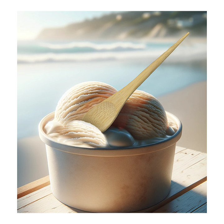 Bamboo Teaspoon 12cm in box (24 Units)