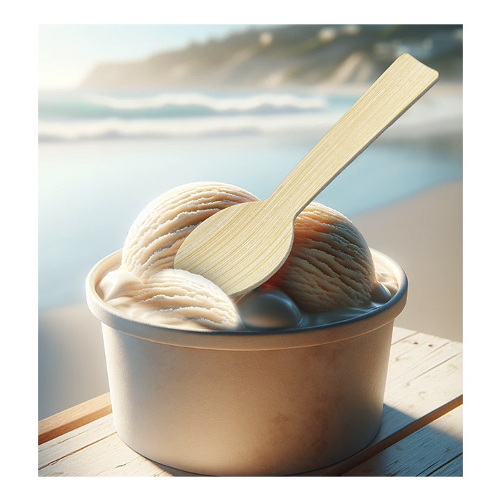 Bamboo Teaspoon 9cm in box (50 Units)