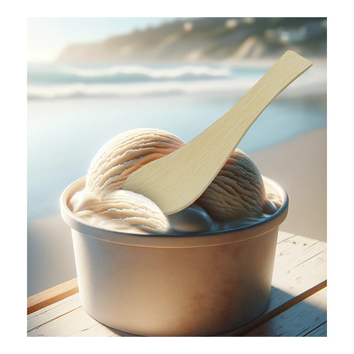 Bamboo Teaspoon 13,5cm in box (50 Units) 