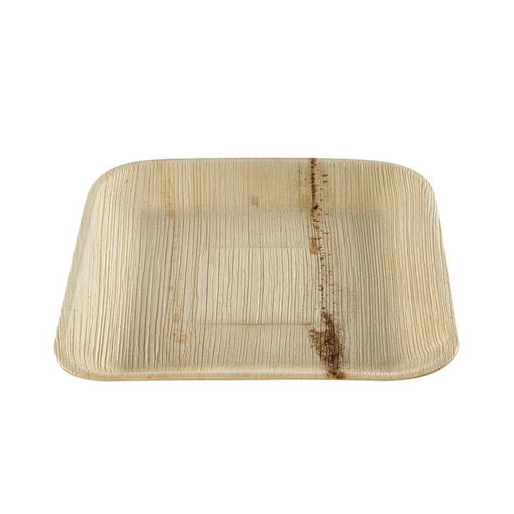 Palm Leaf Plate Square Shape 20x20cm (100 Units)