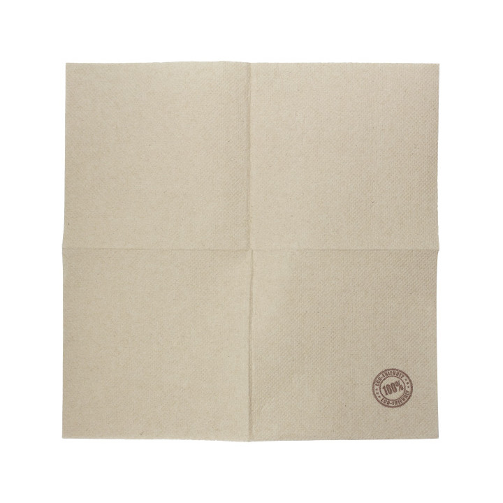 Eco-Friendly Cocktail Napkin Double Point 20x20cm 2-ply (100 Units)